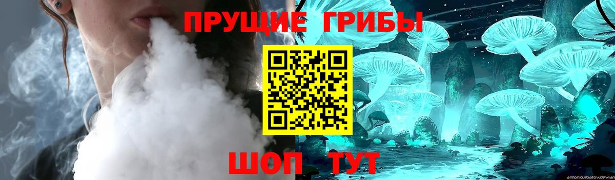 Галлюциногенные грибы MAGIC MUSHROOMS  Вход с VPN  Тольятти  Псилоцибиновые грибы MAGIC MUSHROOMS 